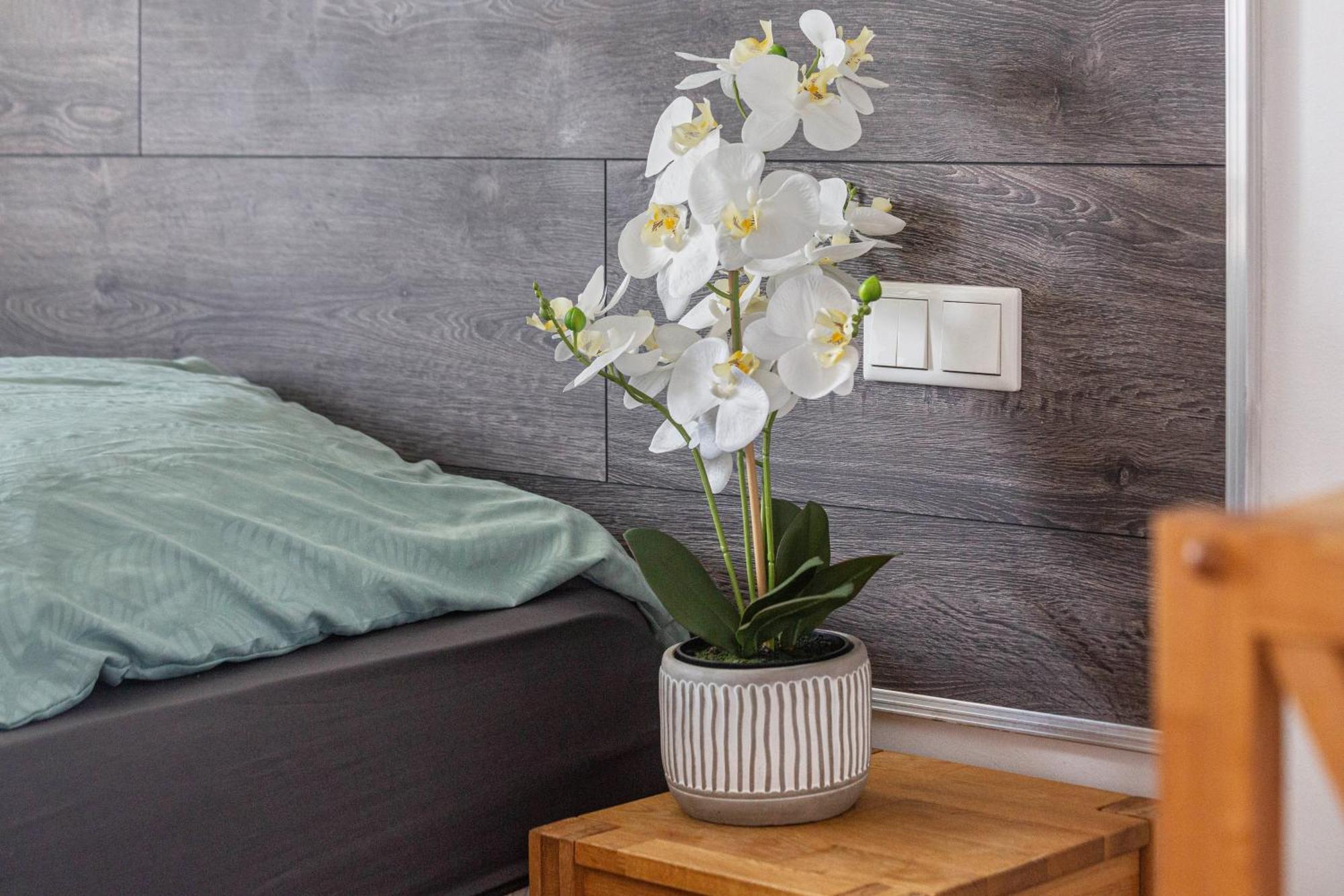 Suite In Essen-City 외부 사진